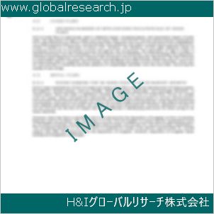 グローバルリサーチ調査資料のイメージ